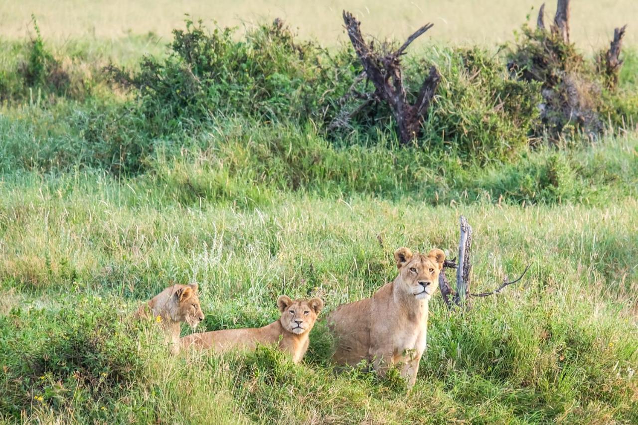 Saadani Safari Lodge Buitenkant foto