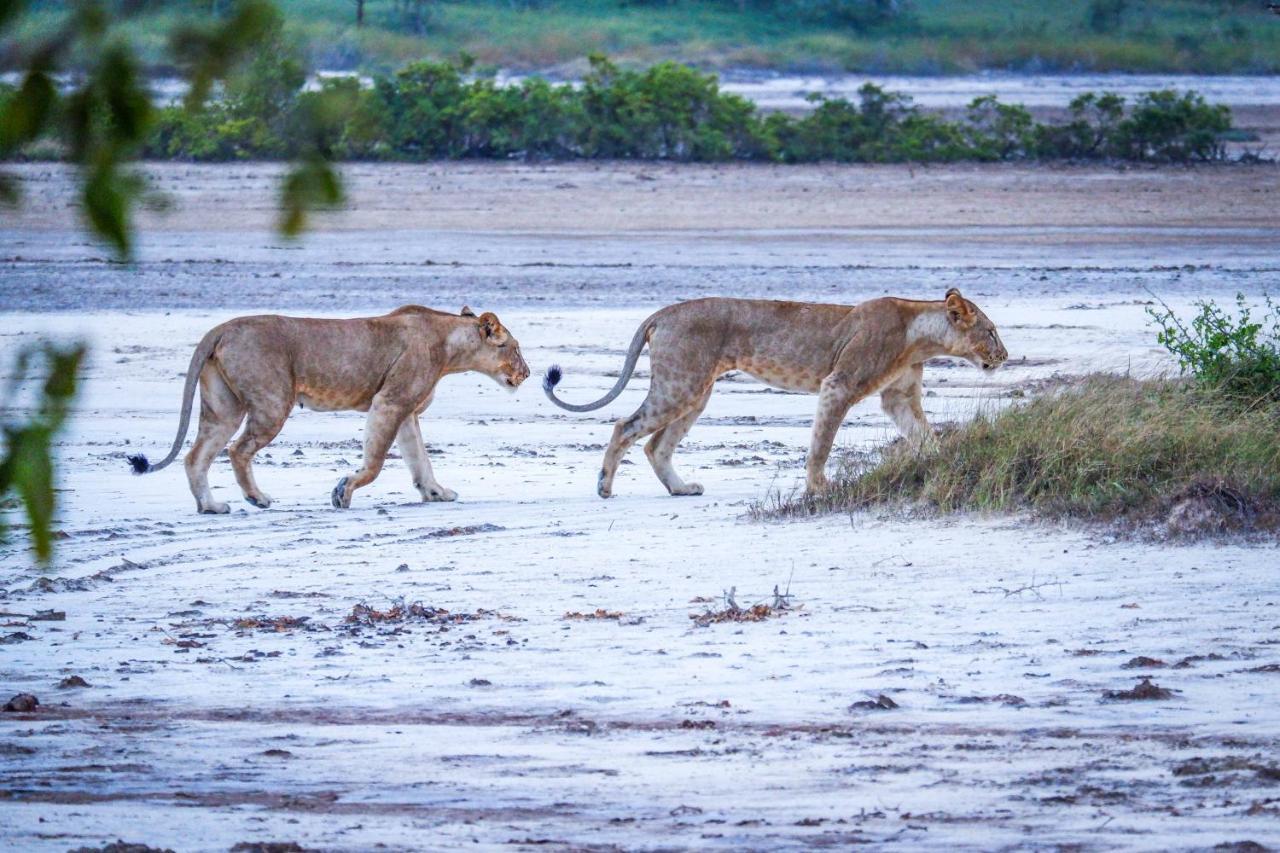 Saadani Safari Lodge Buitenkant foto