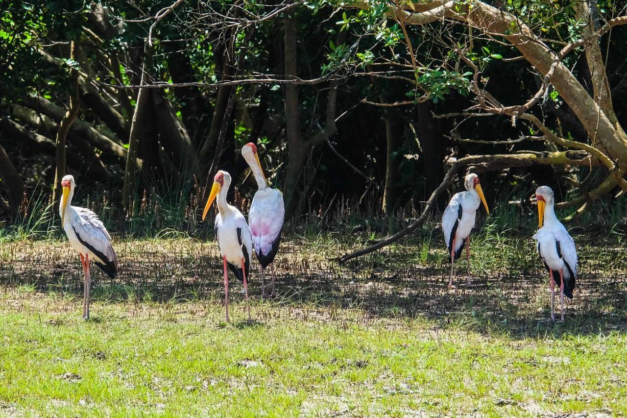 Saadani Safari Lodge Buitenkant foto