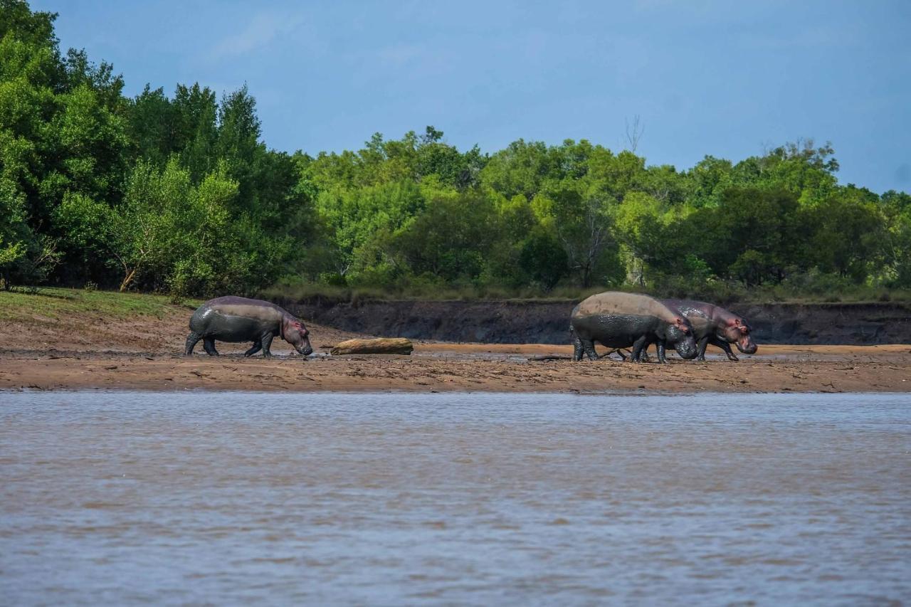 Saadani Safari Lodge Buitenkant foto